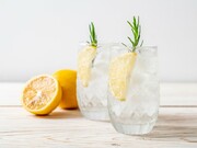 gin fiz.jpg